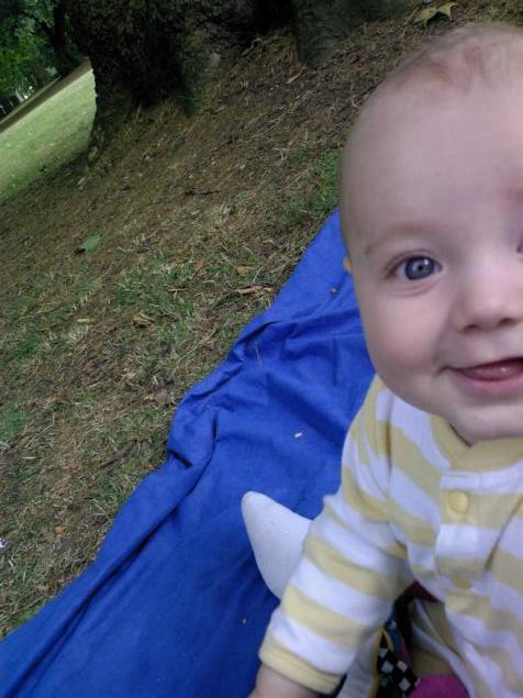 peeking at the park